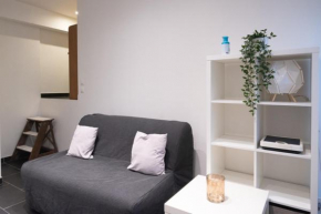 Lovely studio in Paris